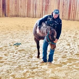 Meet your Posher, Billy